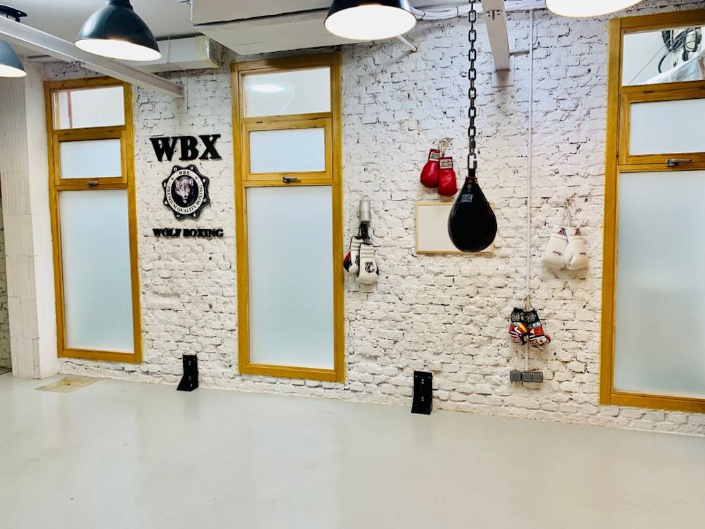 WBX Wolf Boxing